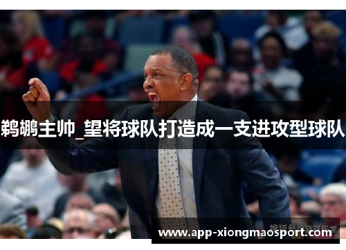 鹈鹕主帅_望将球队打造成一支进攻型球队